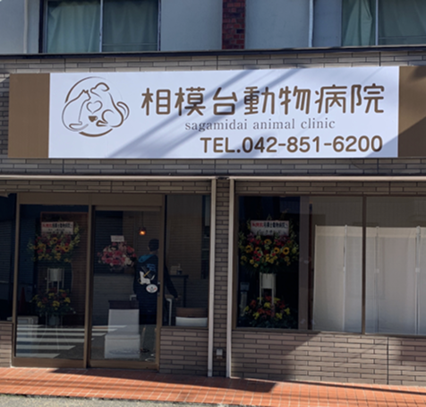 相模台動物病院