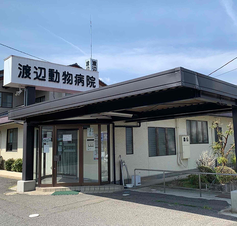 渡辺動物病院