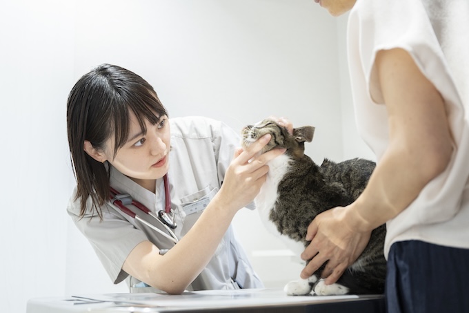 午前診療スタート