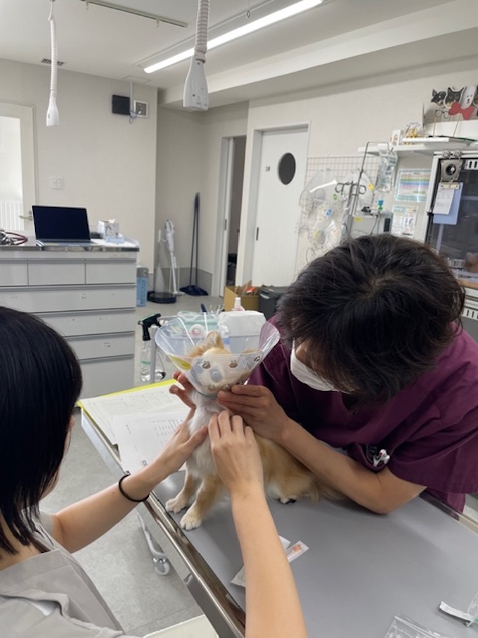 午後診療スタート