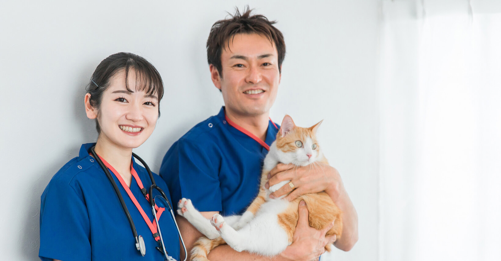 アニマルホスピタル建設計画―その準備から完成まで 2025年 動物医療センターを3院同時開設に伴う求人開始 - Withmal